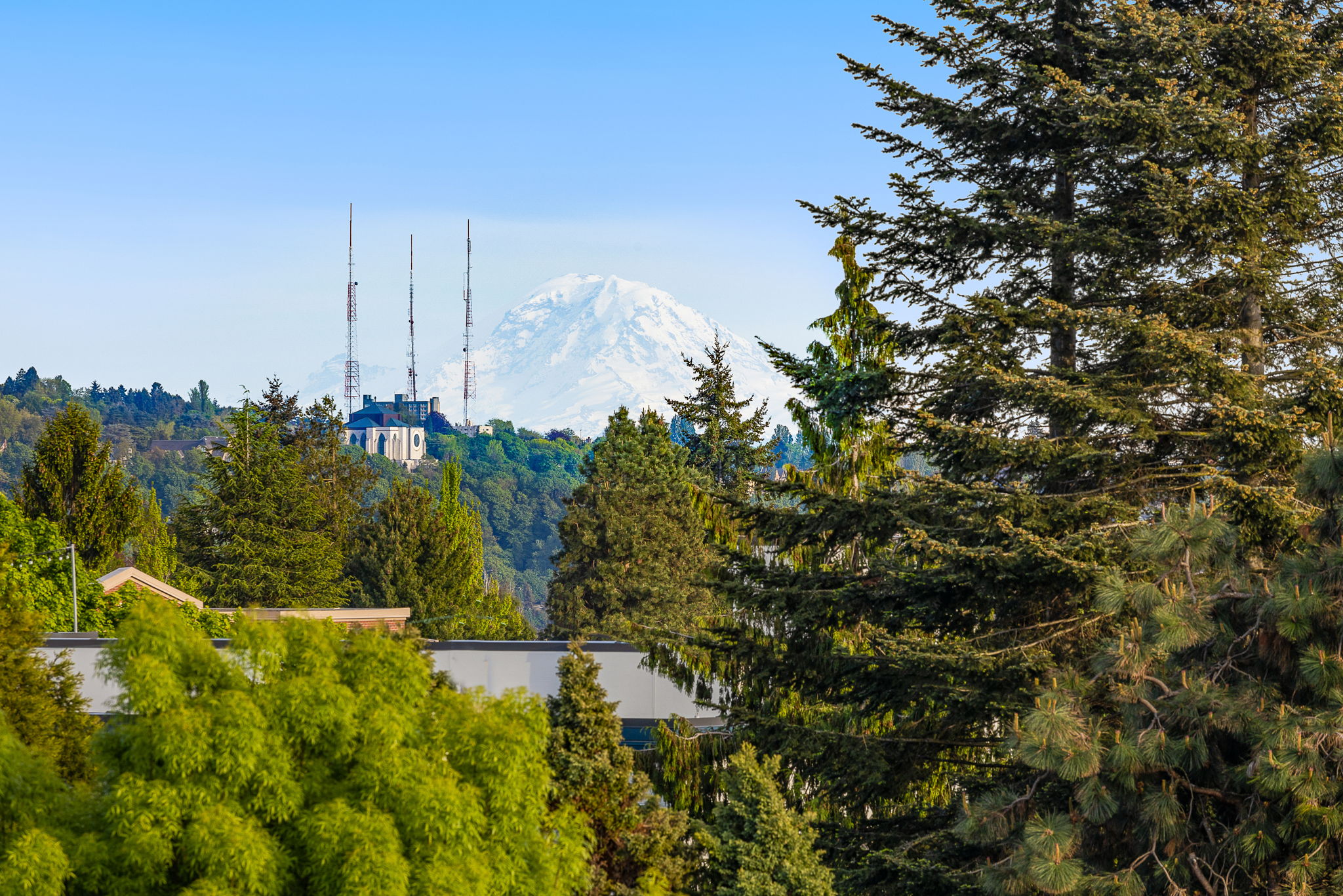 34-web-or-mls-1203-n-allen-pl-h